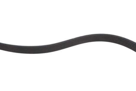 Ремінь поліклиновий 6PK1875 blue Print AD06R1875