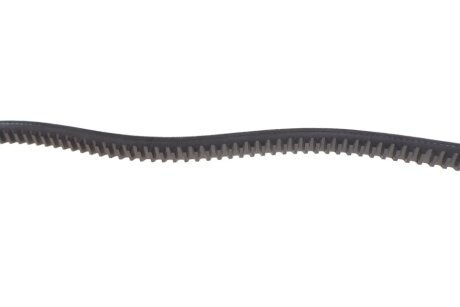 Ремень 13X925 FIAT HONDA LANCIA MAZDA NISSAN SUZUKI blue Print AD13V925