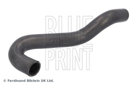 NISSAN Шланг радіатора NOTE (E11, NE11) 1.4 06-12, MICRA III 1.0-1.4 03-12 blue Print ADBP930017