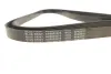 BLUE PRINT Ремень 6PK2575 blue print AD06R2575