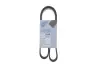 BLUE PRINT ремінь 6PK1110 blue print AD06R1110