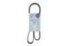 BLUE PRINT ремінь 6PK1230 blue print AD06R1230