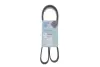 BLUE PRINT ремінь 6PK1237 Blue Print AD06R1237 (фото 2)