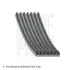 BLUE ремінь 7PK1515 blue print AD07R1515