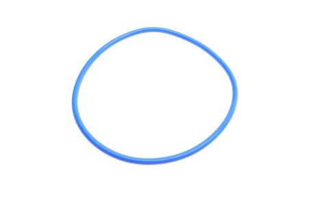 Фільтр палива з ущільнюючим кільцем blue Print ADBP230044