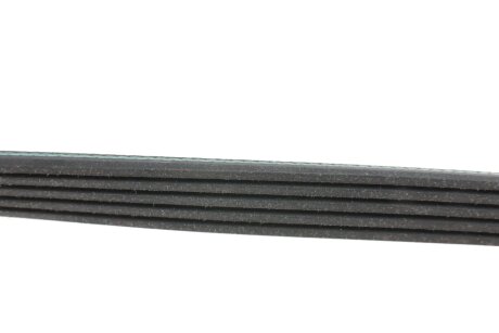 Приводной ремень генератора blue Print AD05R915