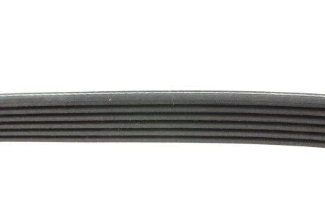 Привідний ремінь генератора blue Print AD06R1285