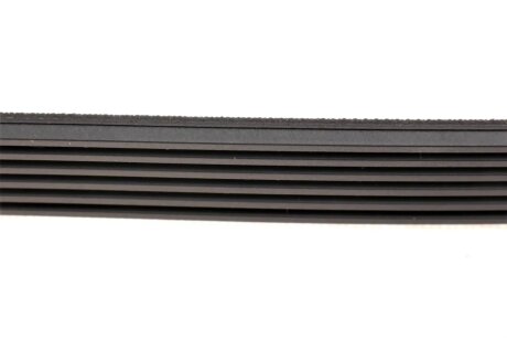 Привідний ремінь генератора blue Print AD06R1725