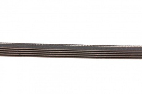 Приводной ремень генератора blue Print AD05R866