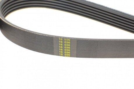 Привідний ремінь генератора blue Print AD06R1600