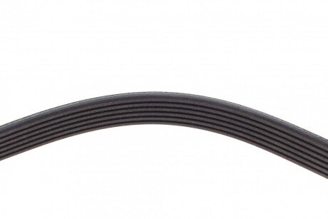 Приводной ремень генератора blue Print AD06R1700