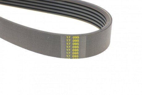 Привідний ремінь генератора blue Print AD06R1892