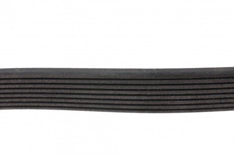 Ремінь поліклиновий blue Print AD08R1310