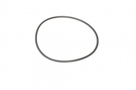 Паливний (топливный) фільтр blue Print ADA102306