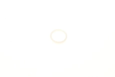 Топливный фильтр blue Print ADH22348