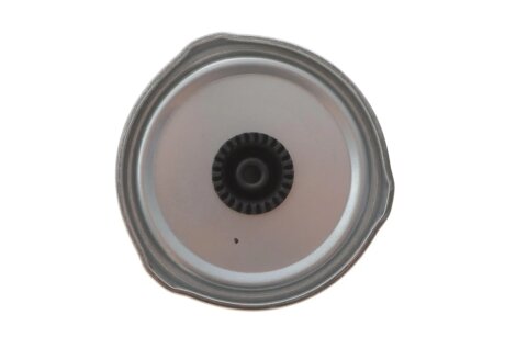 Паливний (топливный) фільтр blue Print ADJ132303C