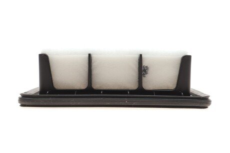 Воздушный фильтр blue Print ADK82249