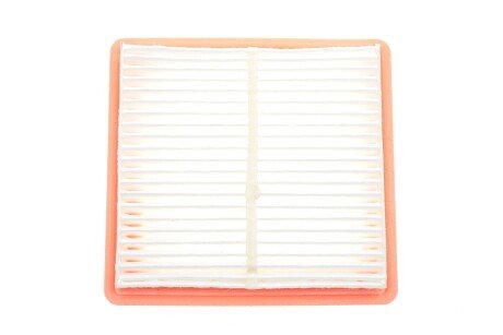 Воздушный фильтр blue Print ADN12285