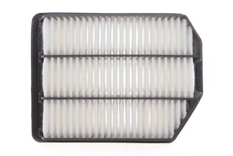 Повітряний фільтр двигуна blue Print ADG02274