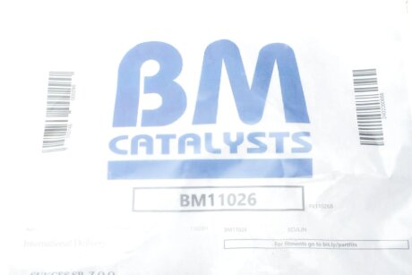 Сажевий фільтр bm catalysts BM11026