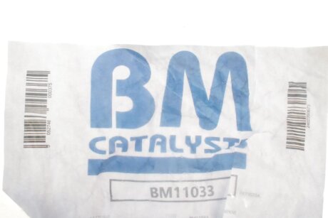 Сажевий фільтр bm catalysts BM11033