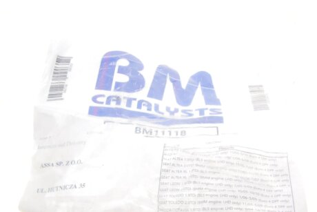 Сажевий фільтр bm catalysts BM11118