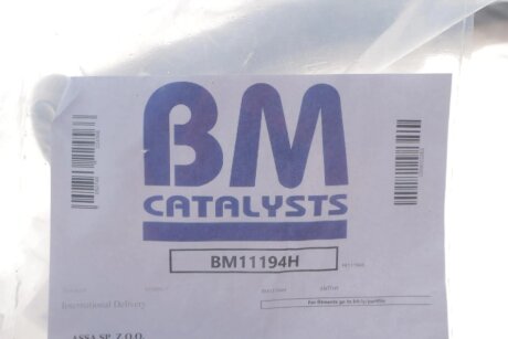 Фільтр сажі bm catalysts BM11194H