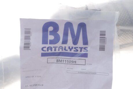 Фільтр сажі bm catalysts BM11509H