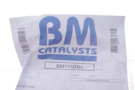 Фільтр сажі bm catalysts BM11603H