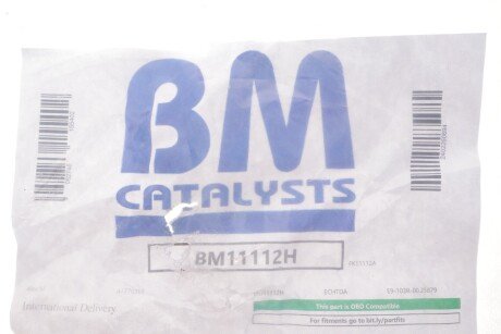 Сажевий фільтр bm catalysts BM11112H