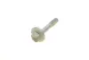 Болт ексцентриковий BMW X5 3.0d M12X1,5X66 bmw 33321095590