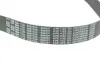 Пас (8PK x 1122) bmw 11289887028