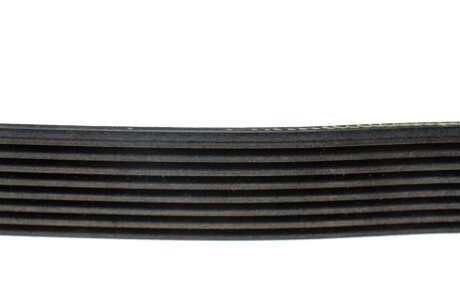 Пас (8PK x 1122) bmw 11289887028