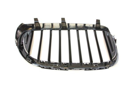 Решітка декор Л Пд bmw 51138065539