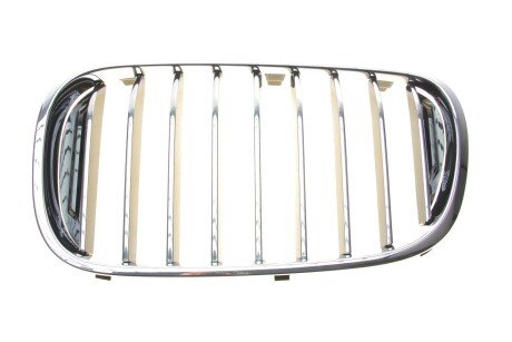Решітка декор Л Пд bmw 51138065539