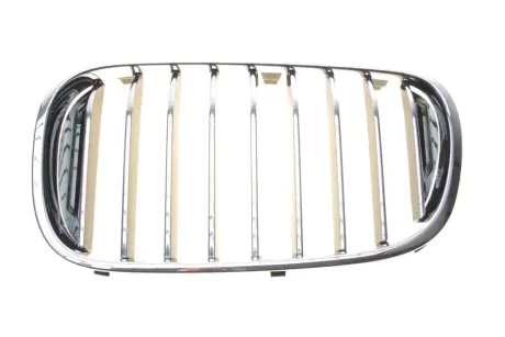 Решетка противотуманки bmw 51138065539