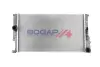 Радиатор охлаждения двигателя bogap B4210214