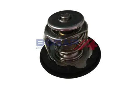 Термостат bogap H4245105 Rover