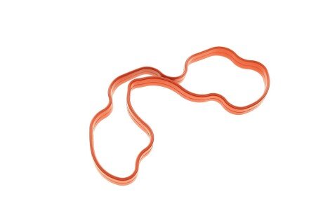 Прокладка впускного коллектора bogap B1715100