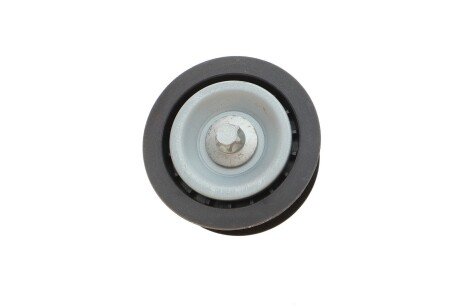 Ролик генератора (паразитний) bogap C1318110