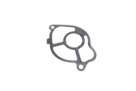 Вакуумний насос bogap C1916106