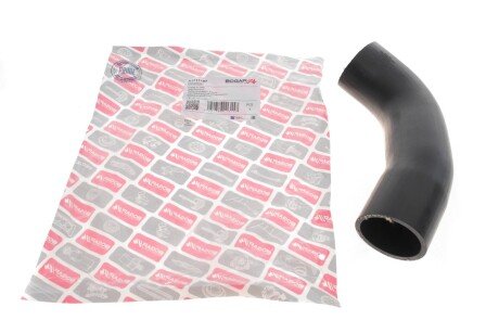 Впускна труба bogap A1711187