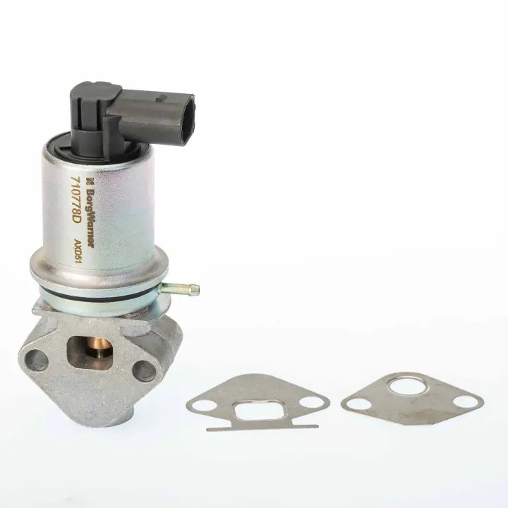 VW Клапан EGR Audi A2,Golf IV,Polo,Skoda Fabia I,Octavia I 1.4/1.6 BORGWARNER 710778D