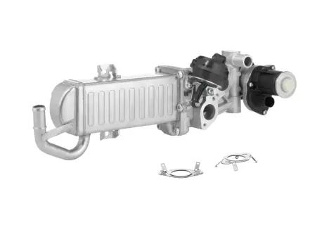 AUDI Клапан EGR A3 (8P1) 1.6 TDI 09-12, A3 (8P1) 2.0 TDI 16V 03-12, SEAT LEON (1P1) 1.6 TDI 10-12, SKODA OCTAVIA II Combi (1Z5) 1.6 TDI 4x4 09-13, VW CADDY IV (SAA, SAH) 1.6 TDI 15-20 BORGWARNER 710861D1 Фольксваген Гольф 6