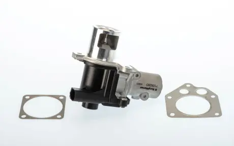 Клапан EGR BORGWARNER 710928D