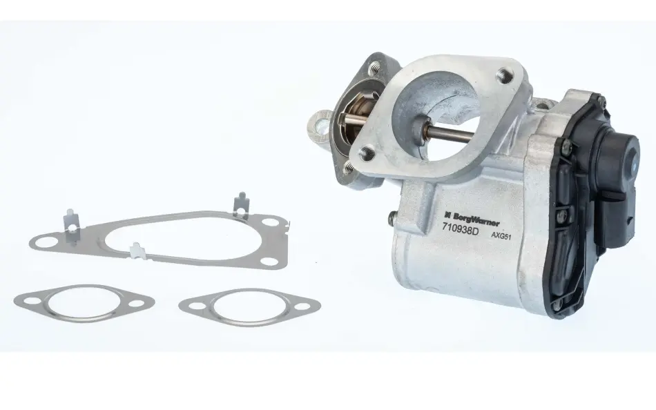 RENAULT Клапан EGR Megane II 1.9dCi 05-, Laguna II, Suzuki Grand Vitara 1.9 DDiS 05- BORGWARNER 710938D (фото 1)