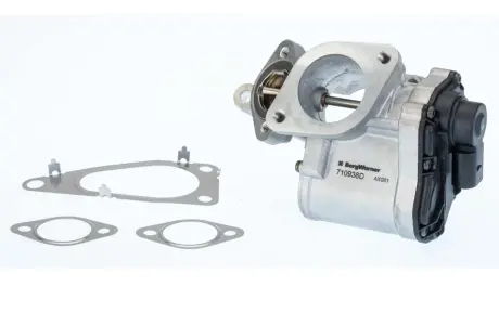 RENAULT Клапан EGR Megane II 1.9dCi 05-, Laguna II, Suzuki Grand Vitara 1.9 DDiS 05- BORGWARNER 710938D