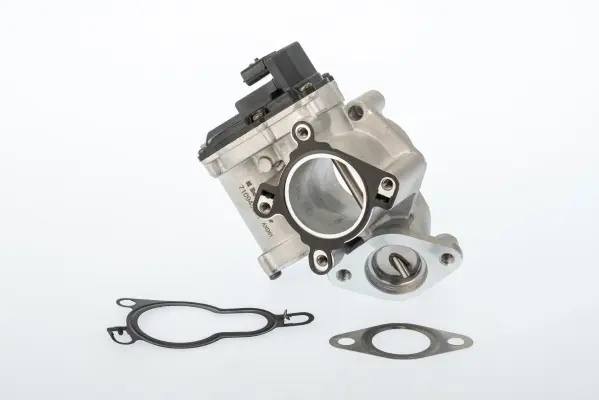 RENAULT Клапан EGR Master 2,3DCi 10- BORGWARNER 710945D