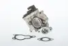 RENAULT Клапан EGR Master 2,3DCi 10- BORGWARNER 710945D