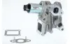 RENAULT клапан EGR Grand Scenic II,Megane II,Laguna II 1.9dCi BORGWARNER 710959D